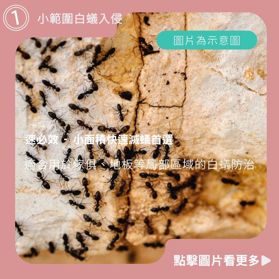 速必效 - 小面積快速滅蟻首選