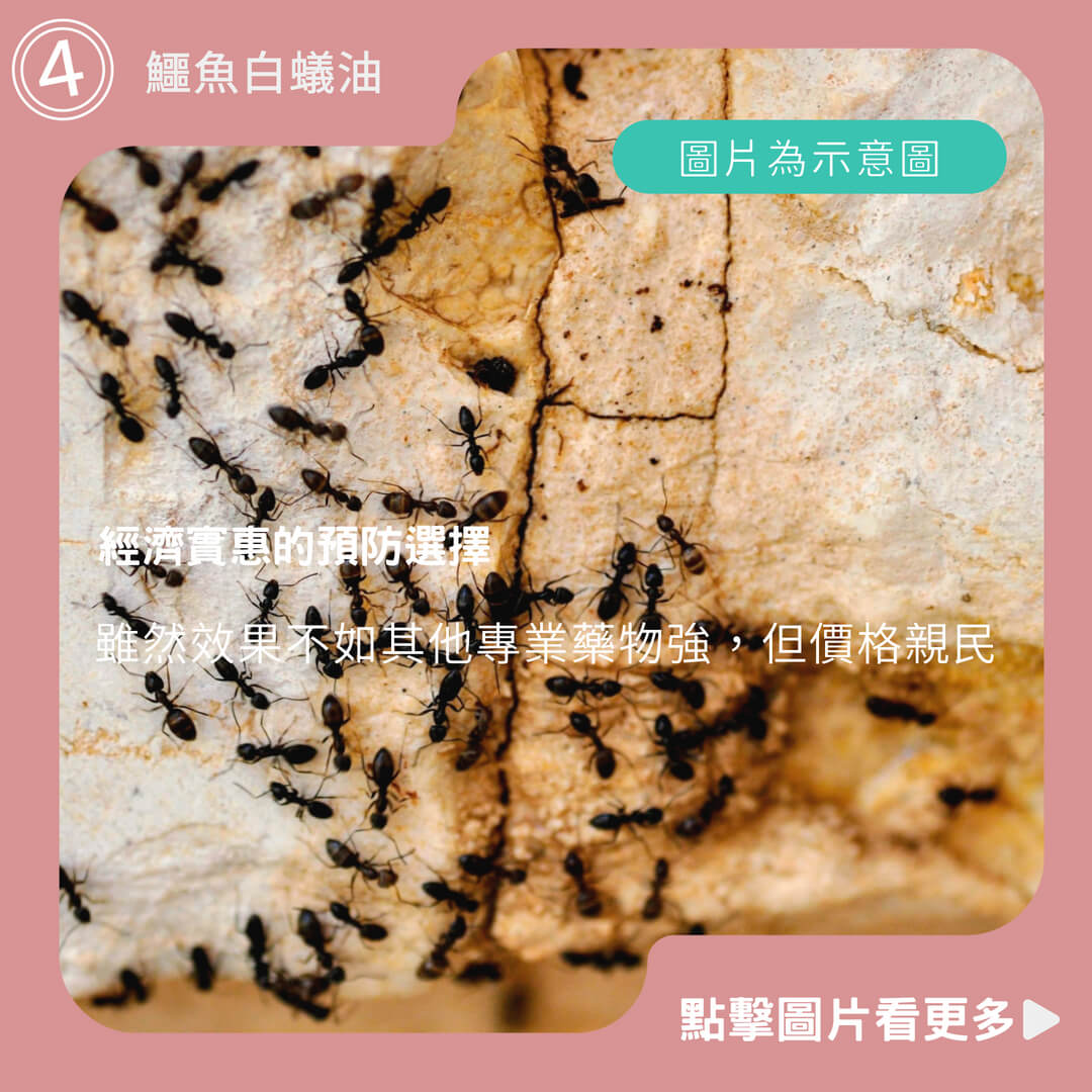鱷魚白蟻油 - 經濟實惠的預防選擇