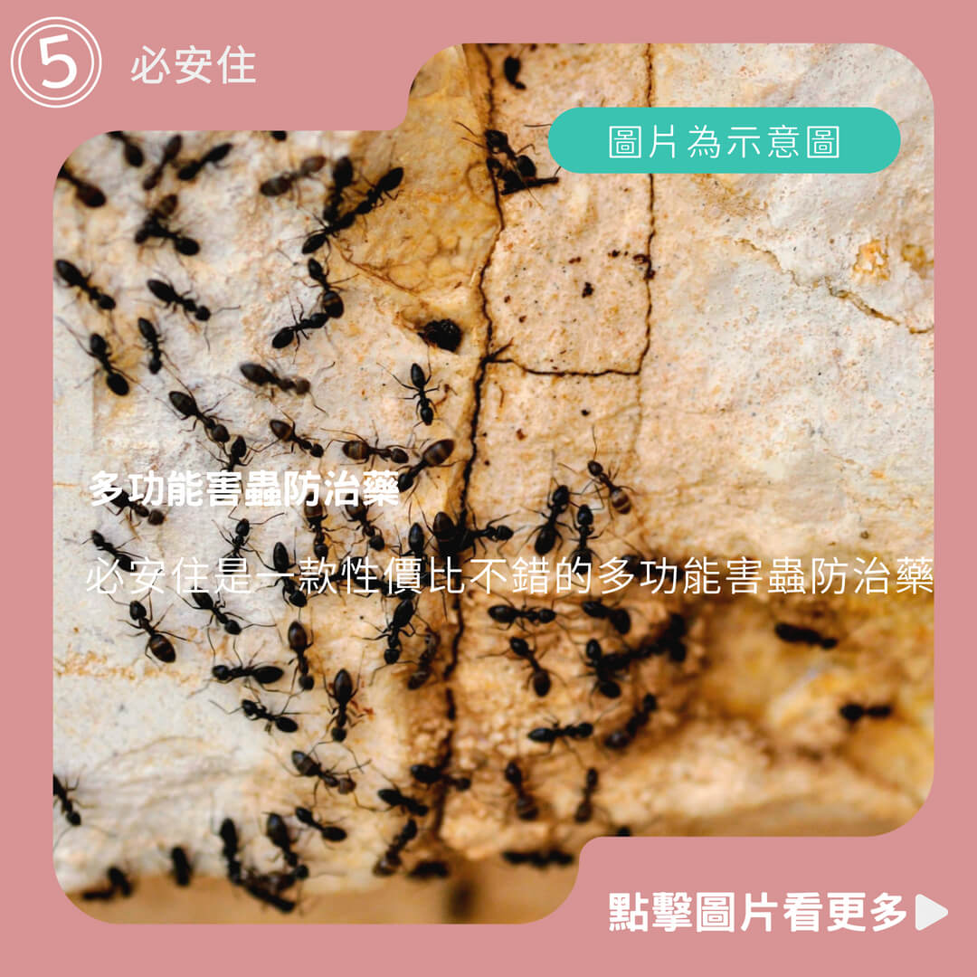 必安住 - 多功能害蟲防治藥