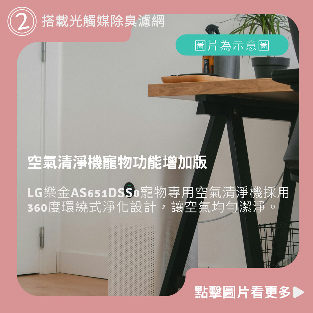 LG樂金AS651DSS0 空氣清淨機寵物功能增加版（單層）送抽真空保鮮盒組
