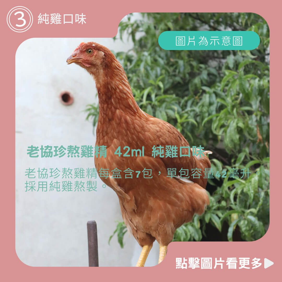 【老協珍 】新貨到 公司貨 老協珍熬雞精 42ml 純雞口味 滴雞精升級版