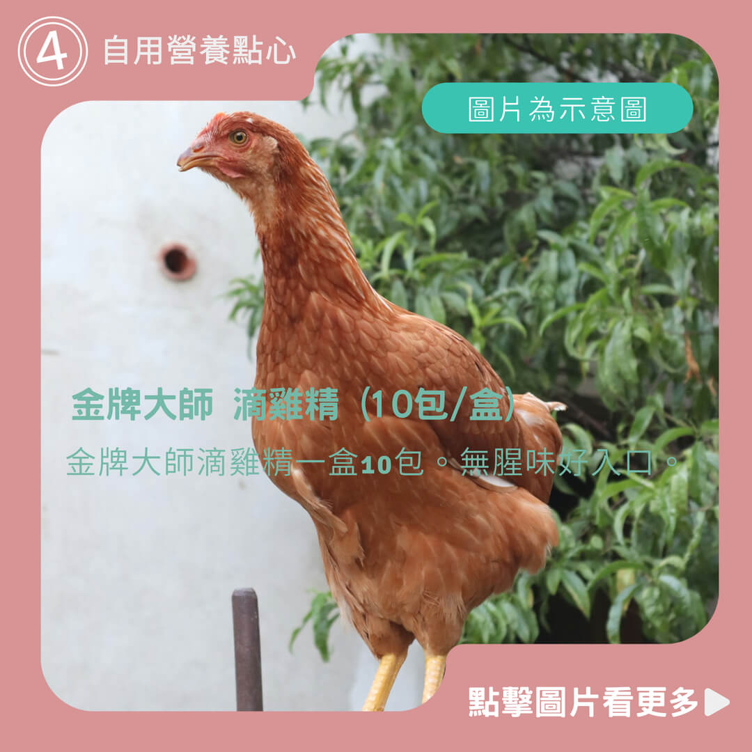 金牌大師 滴雞精 (10包/盒) 送禮 滴雞湯 自用營養點心