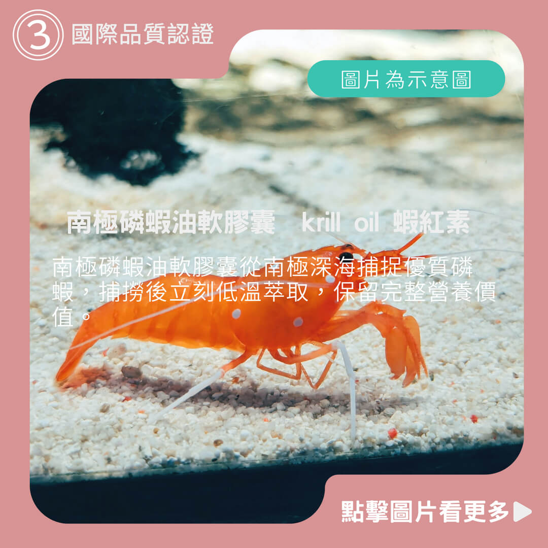 南極磷蝦油軟膠囊 krill oil 蝦紅素 專利製程 超臨界萃取 品質保證
