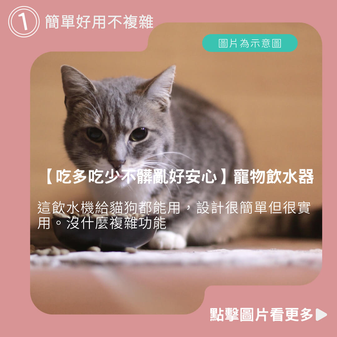 貓自動餵食器推薦【吃多吃少不髒亂好安心】寵物飲水器 自動餵食器 飼料盒 飼料碗 寵物自動餵食器 寵物吃飯