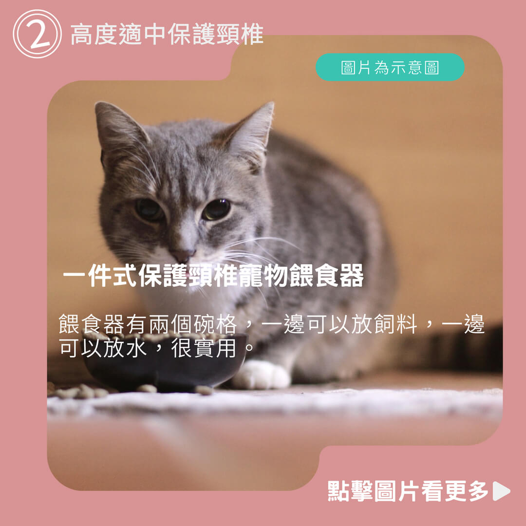 貓碗狗碗自動餵食器 貓食盆 貓咪糧 雙碗飲水碗 一件式保護頸椎寵物餵食器