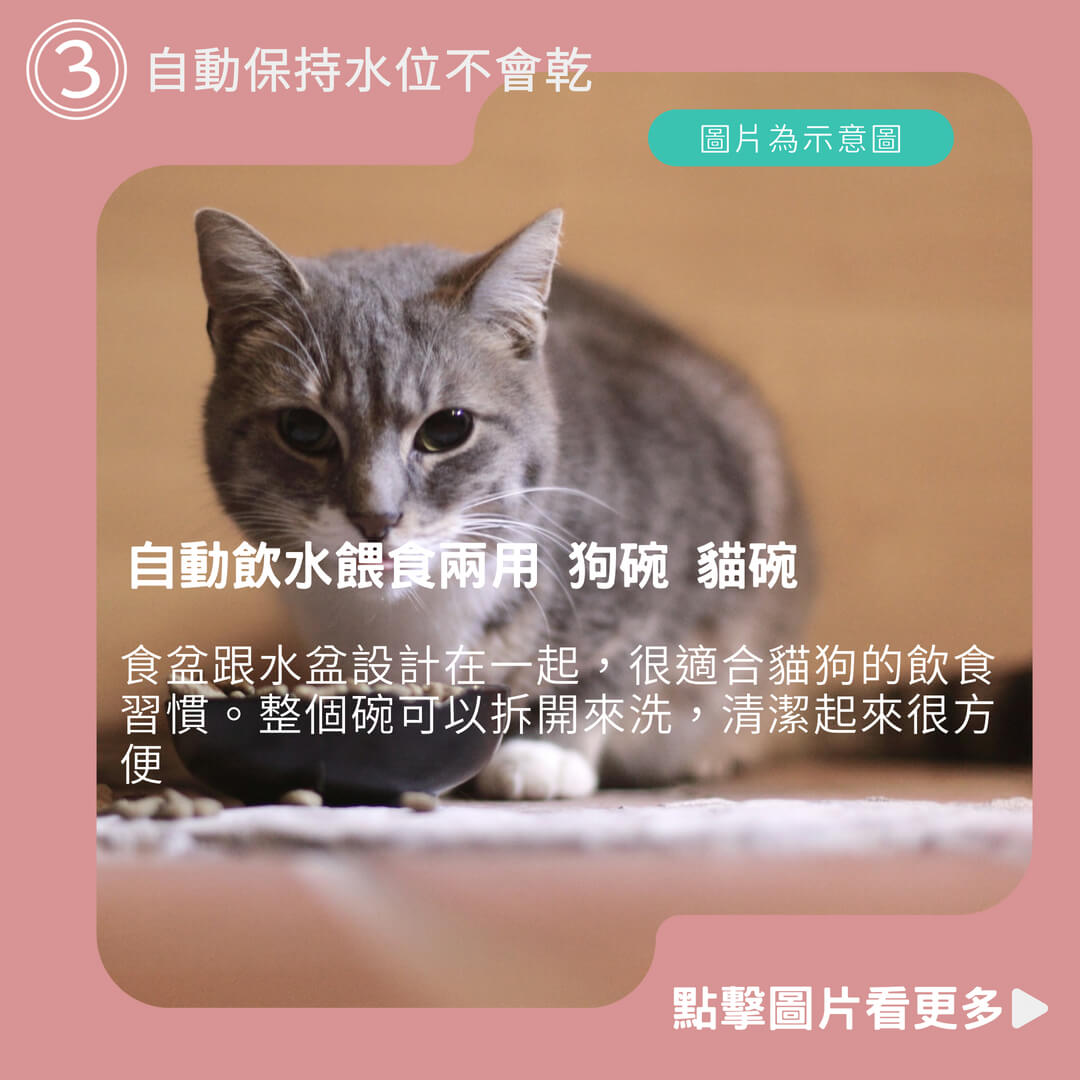 【DC寵物】自動餵食器 寵物餵食 自動飲水餵食兩用 狗碗 貓碗二合一 A078