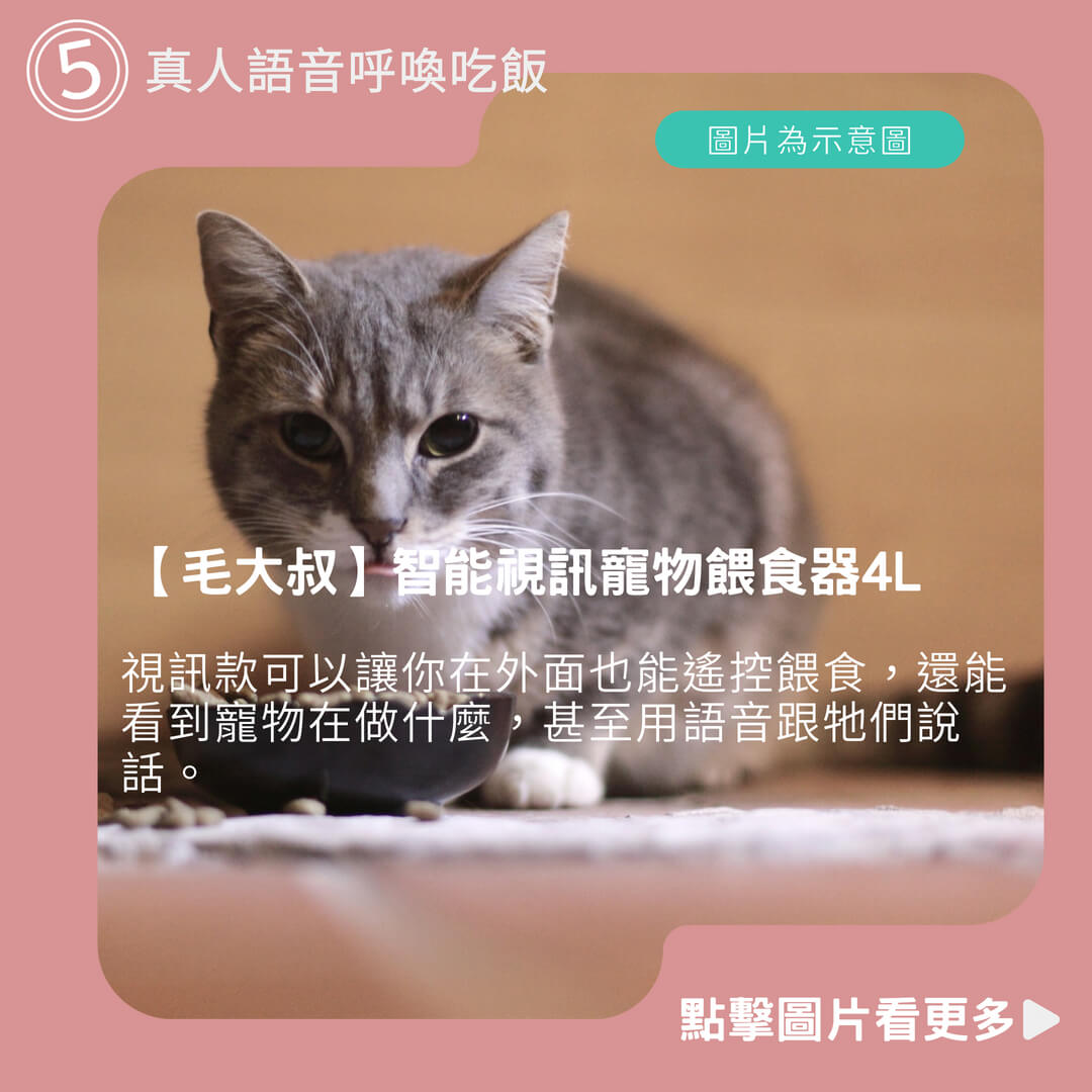 【毛大叔】智能視訊寵物餵食器4L 畫面可見餐盤 高清夜視功能 遠距遙控餵食 定時出餐 智能偵測快速配網
