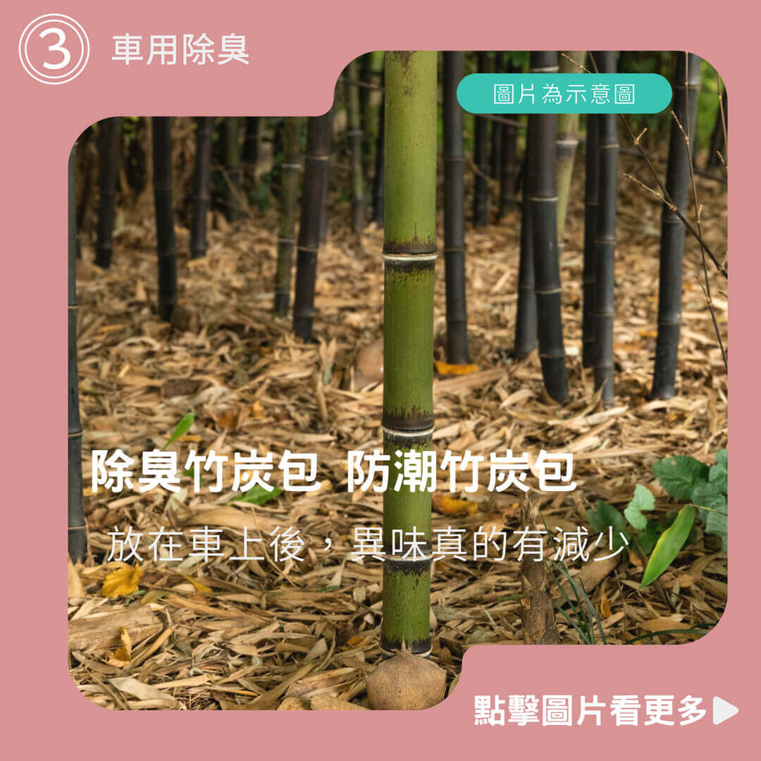 【一朵花 蝦皮挑戰最低價】除臭竹炭包 防潮竹炭包 車用除臭 異味去除 活性淨化空氣 日式炭包 車內去味