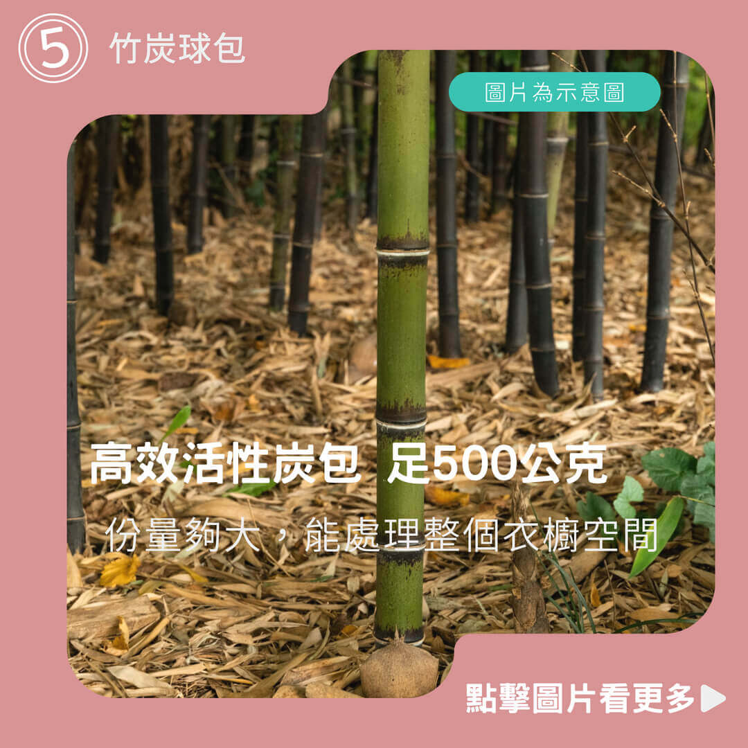 高效活性炭包 足500公克 竹炭球包 除煙味 消臭 除濕 防潮 去味