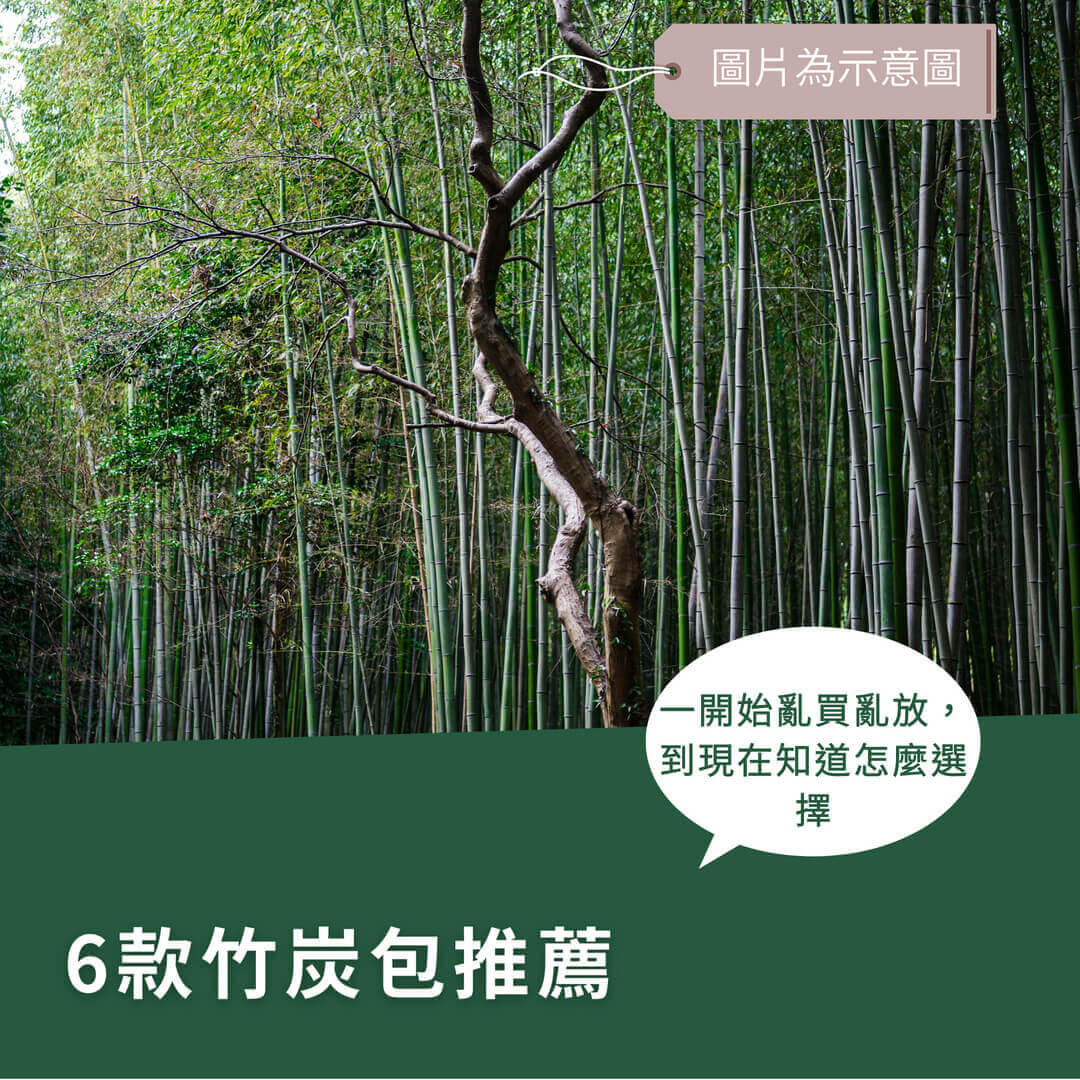 竹炭包推薦！6款實用除臭防潮產品，告別室內異味困擾