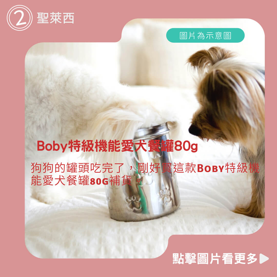 【小搗蛋鬼の王國】Boby特級機能愛犬餐罐80g 聖萊西 惜時SEEDS 狗罐頭 機能餐罐