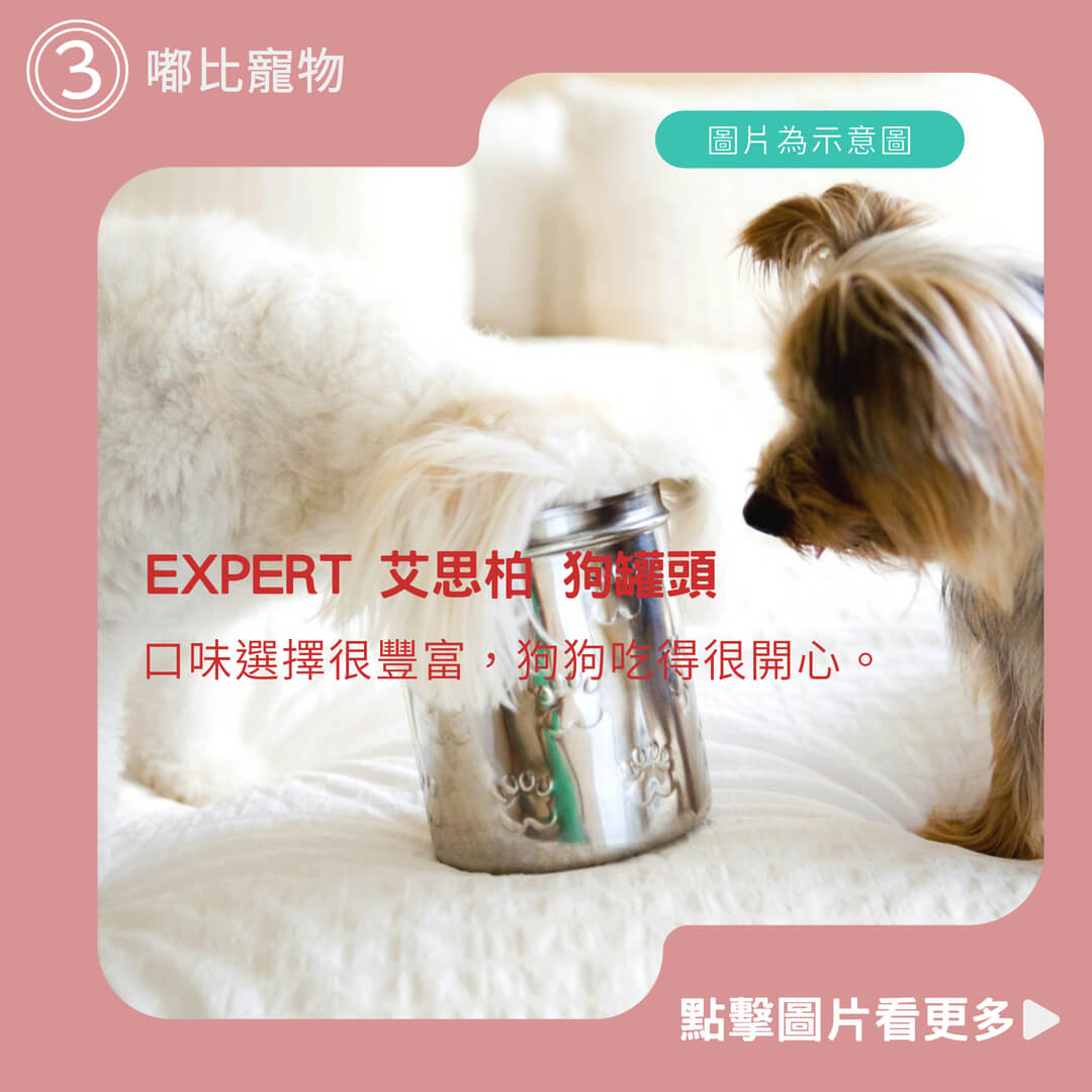 嘟比寵物 EXPERT 艾思柏 狗罐頭 主食狗罐 純肉犬罐 主食罐 165g