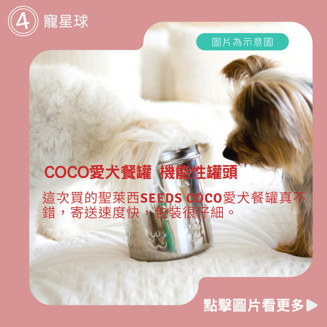 【寵星球】聖萊西SEEDS 惜時 COCO愛犬餐罐 機能性罐頭 寵物狗罐 coco狗罐