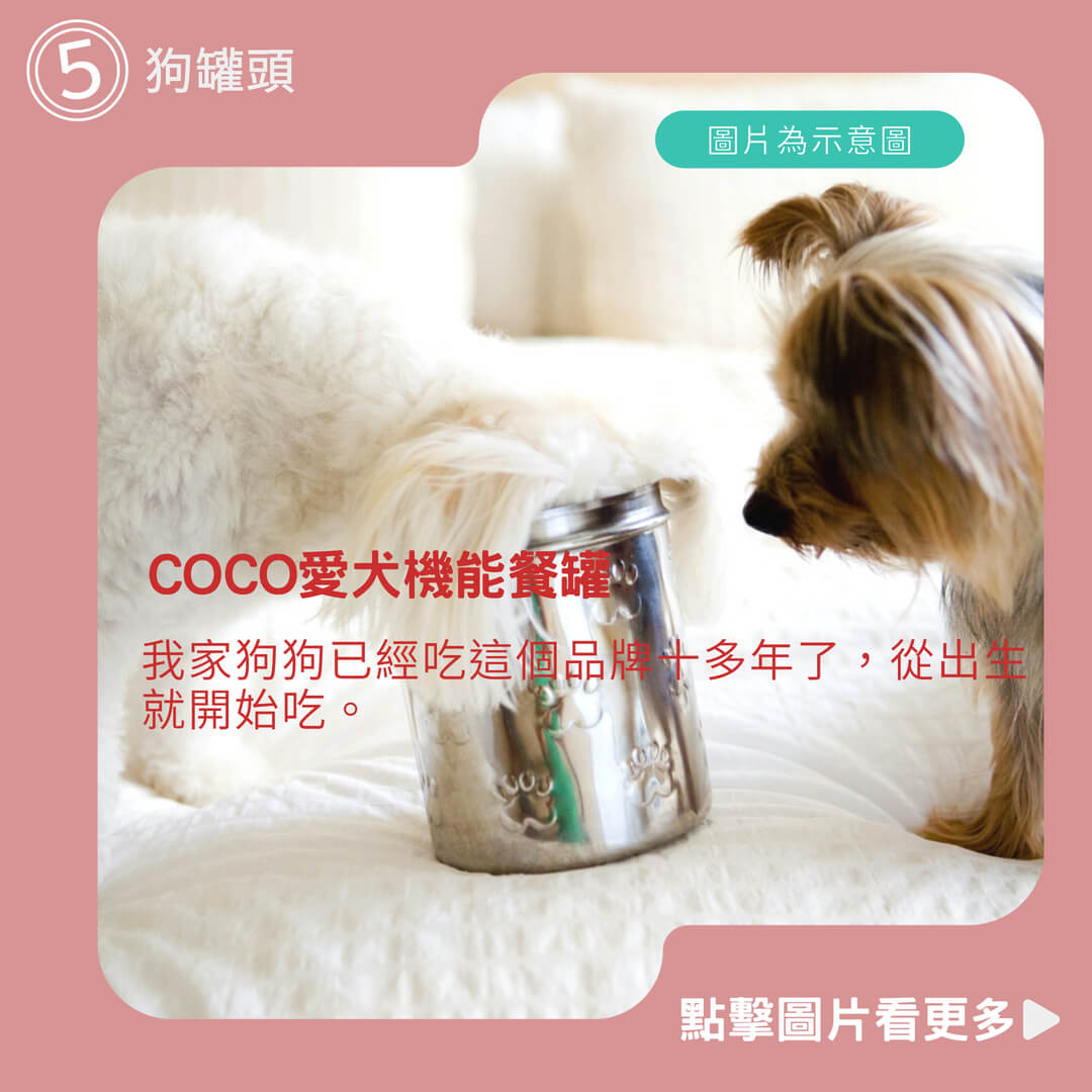 【愛寵物】聖萊西SEEDS 惜時 COCO愛犬機能餐罐 狗罐頭 機能性罐頭 寵