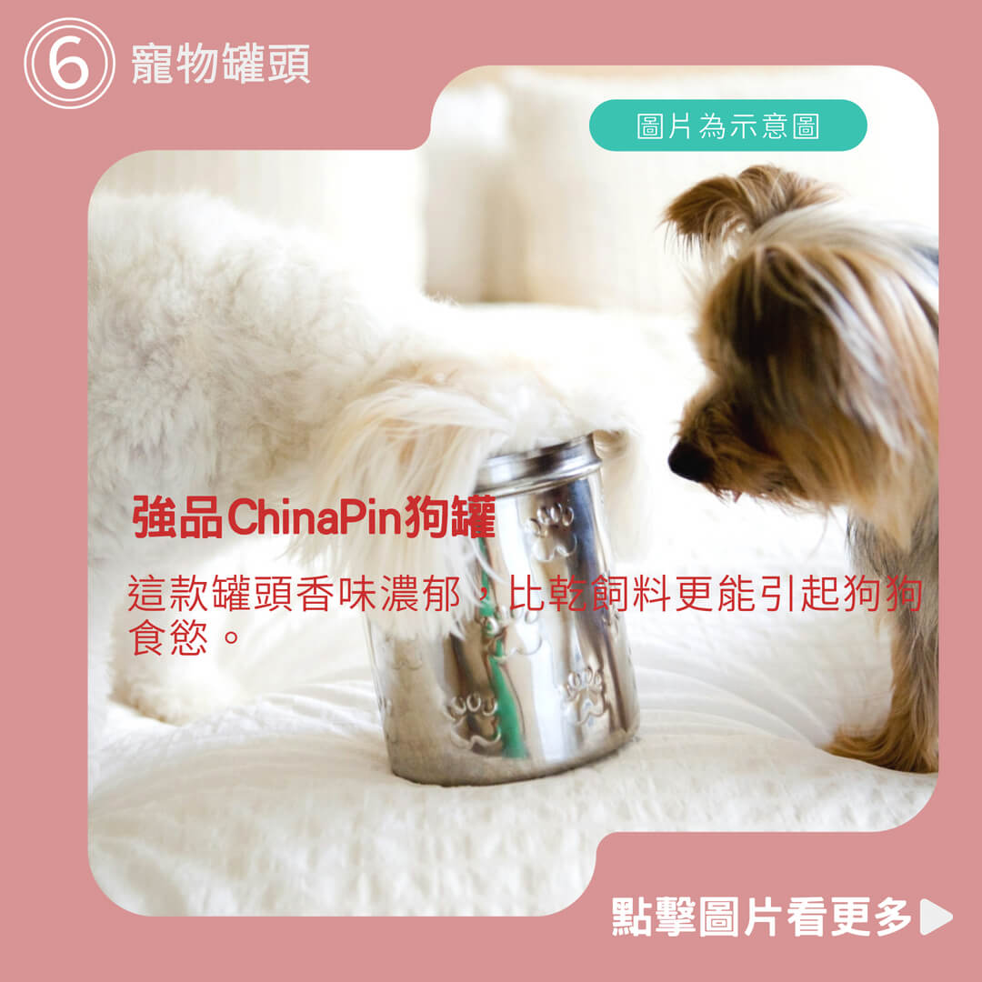 【寵星球】強品ChinaPin狗罐 寵物餐罐 狗狗罐頭 強品罐頭 寵物罐頭