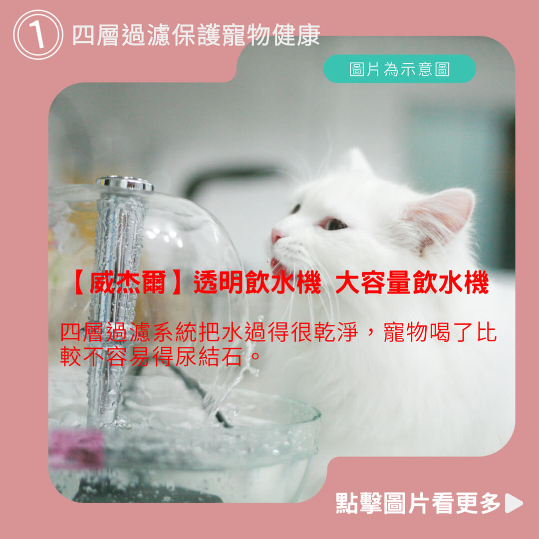 貓咪自動飲水機推薦【威杰爾】透明飲水機 大容量飲水機 循環過濾飲水機 貓咪飲水機 自動飲水機 寵物活水飲水機 【G007】