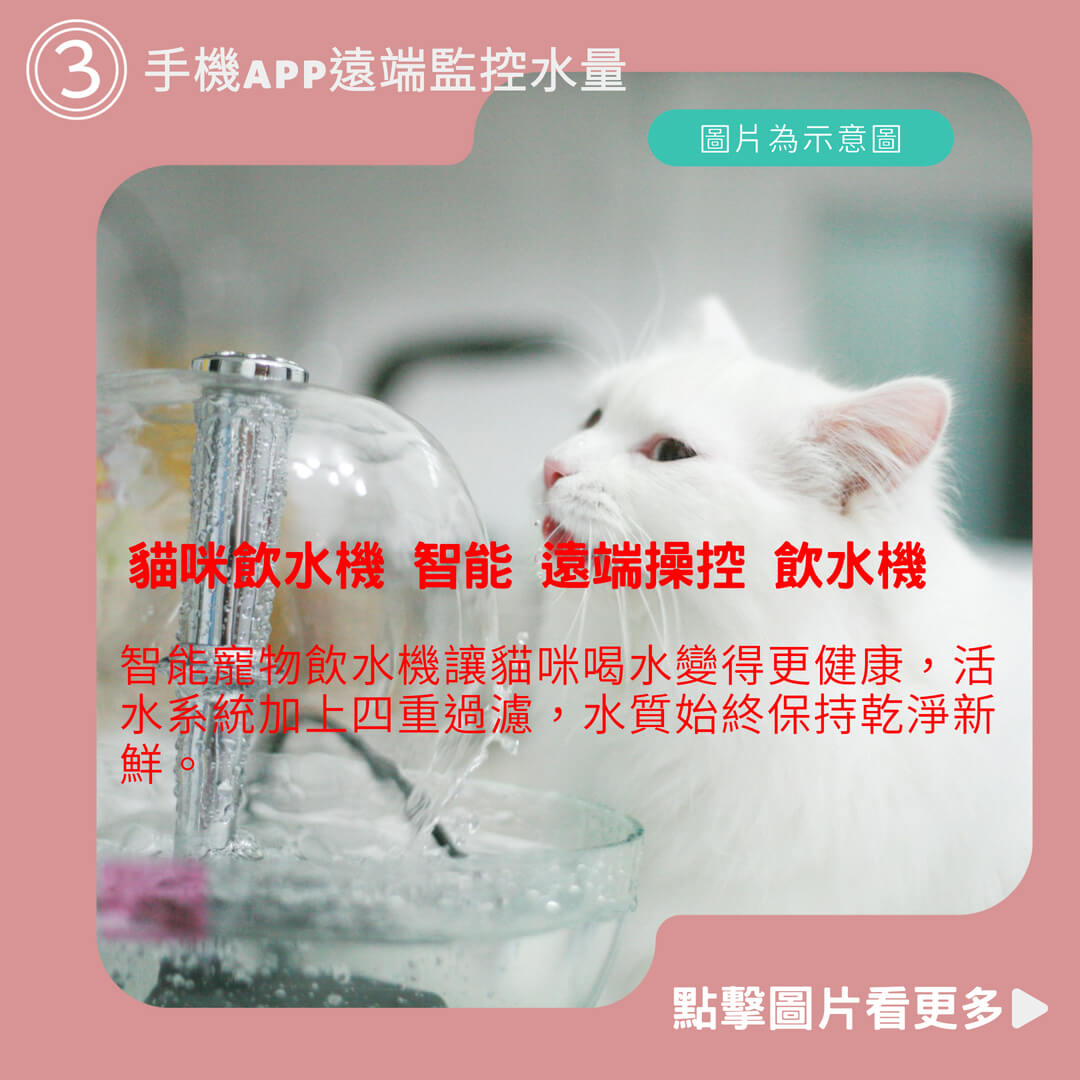 寵物飲水器 貓咪飲水機 智能遠端操控 寵物智能飲水機