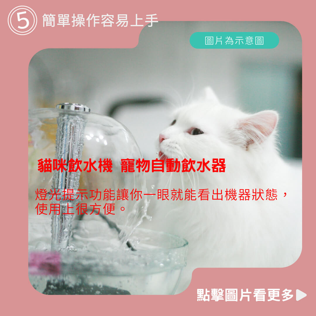 【愛貓聯盟】貓咪飲水機 自動飲水機 寵物自動飲水器