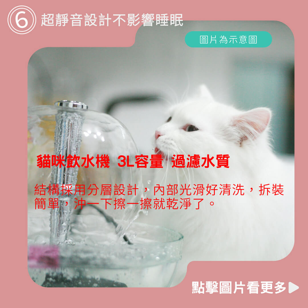 【威杰爾】貓咪飲水機 3L容量 過濾水質 寵物自動飲水機【G007】
