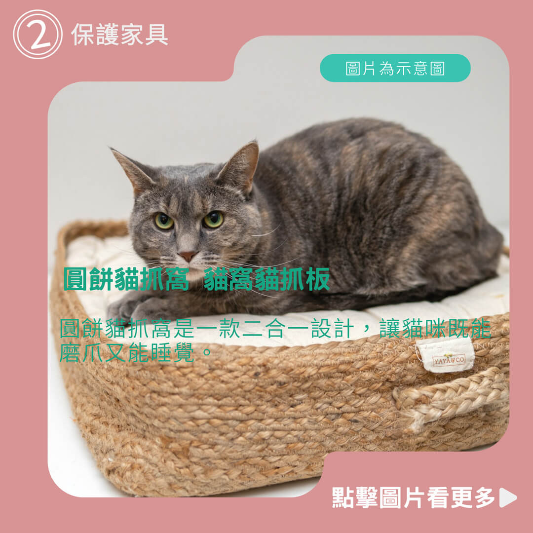 貓窩推薦【寵星球】圓餅貓抓窩  貓瓦楞貓抓板 貓玩具 貓窩