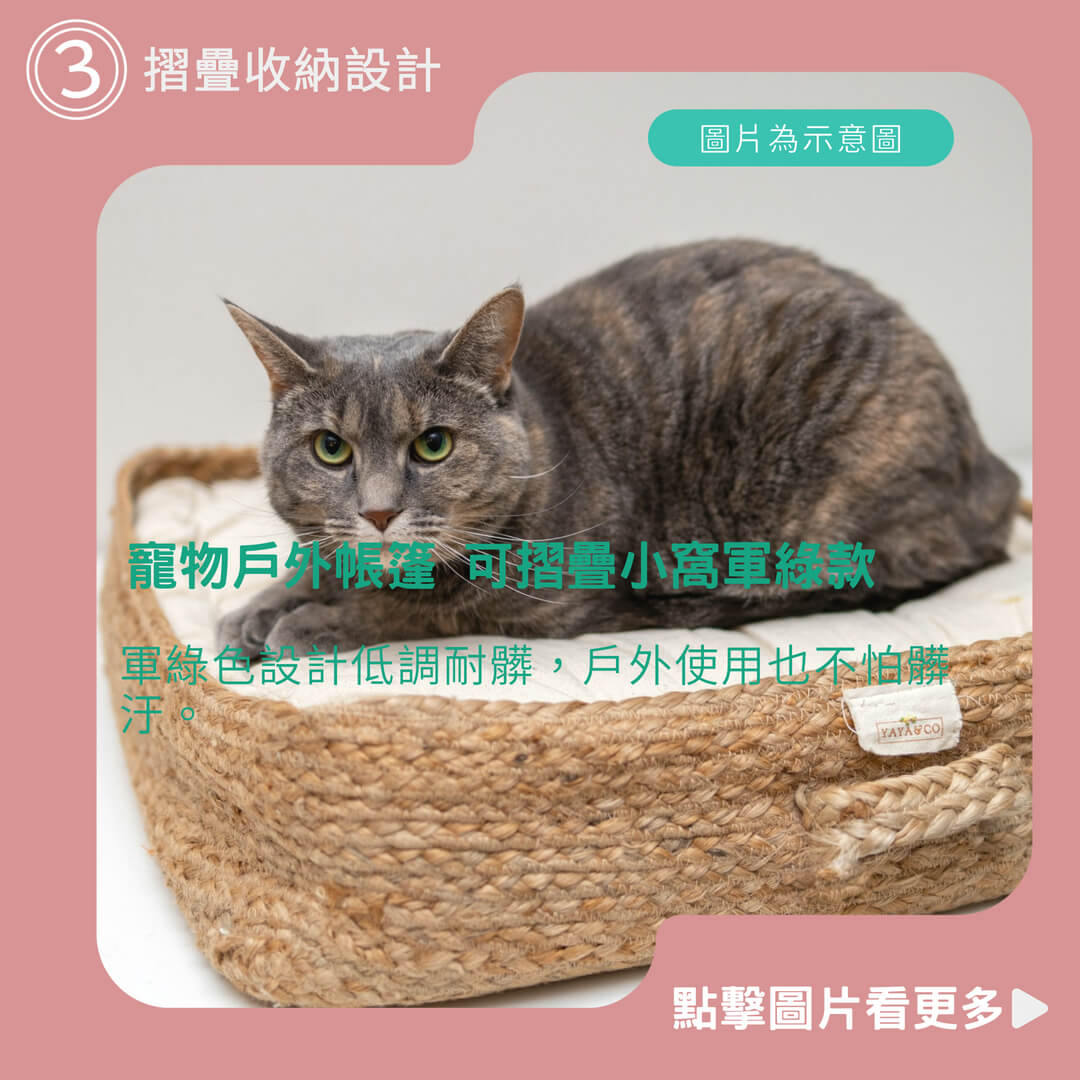 夏季貓窩 狗窩 寵物戶外帳篷 可摺疊小窩 軍綠款