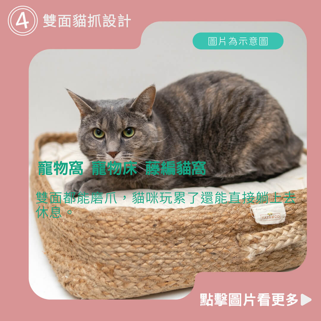 【威杰爾】寵物窩 寵物床 藤編貓窩 編織寵物窩 寵物涼窩 【C057】