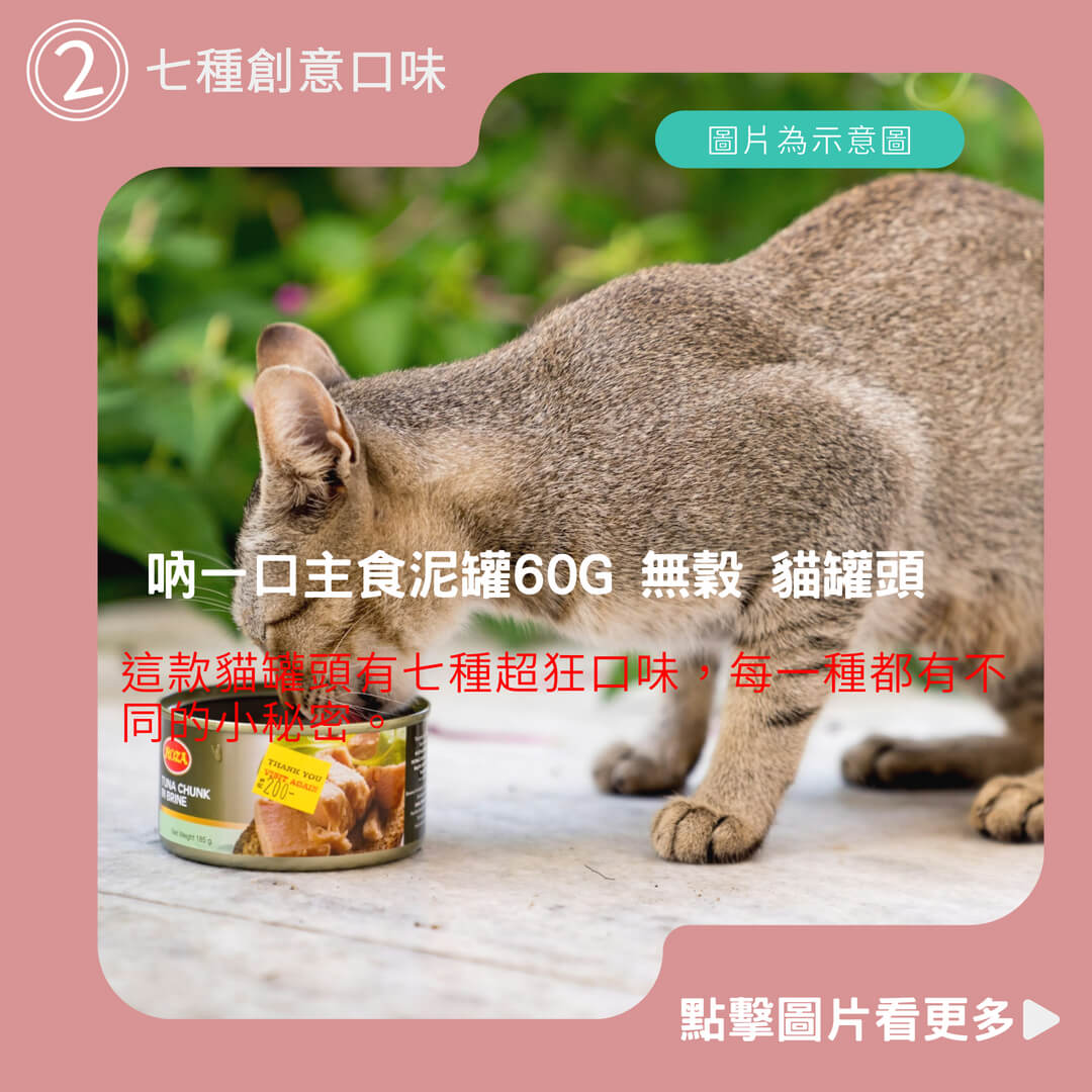 【喵玩國】吶一口主食泥罐60G 無穀貓罐頭 貓咪點心