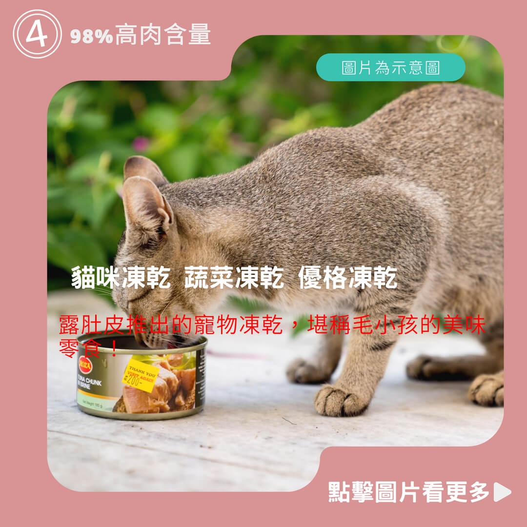 寵物食品 雞肉凍乾 雞胸肉凍乾 貓咪凍乾 蔬菜凍乾 優格凍乾 牛肉凍乾