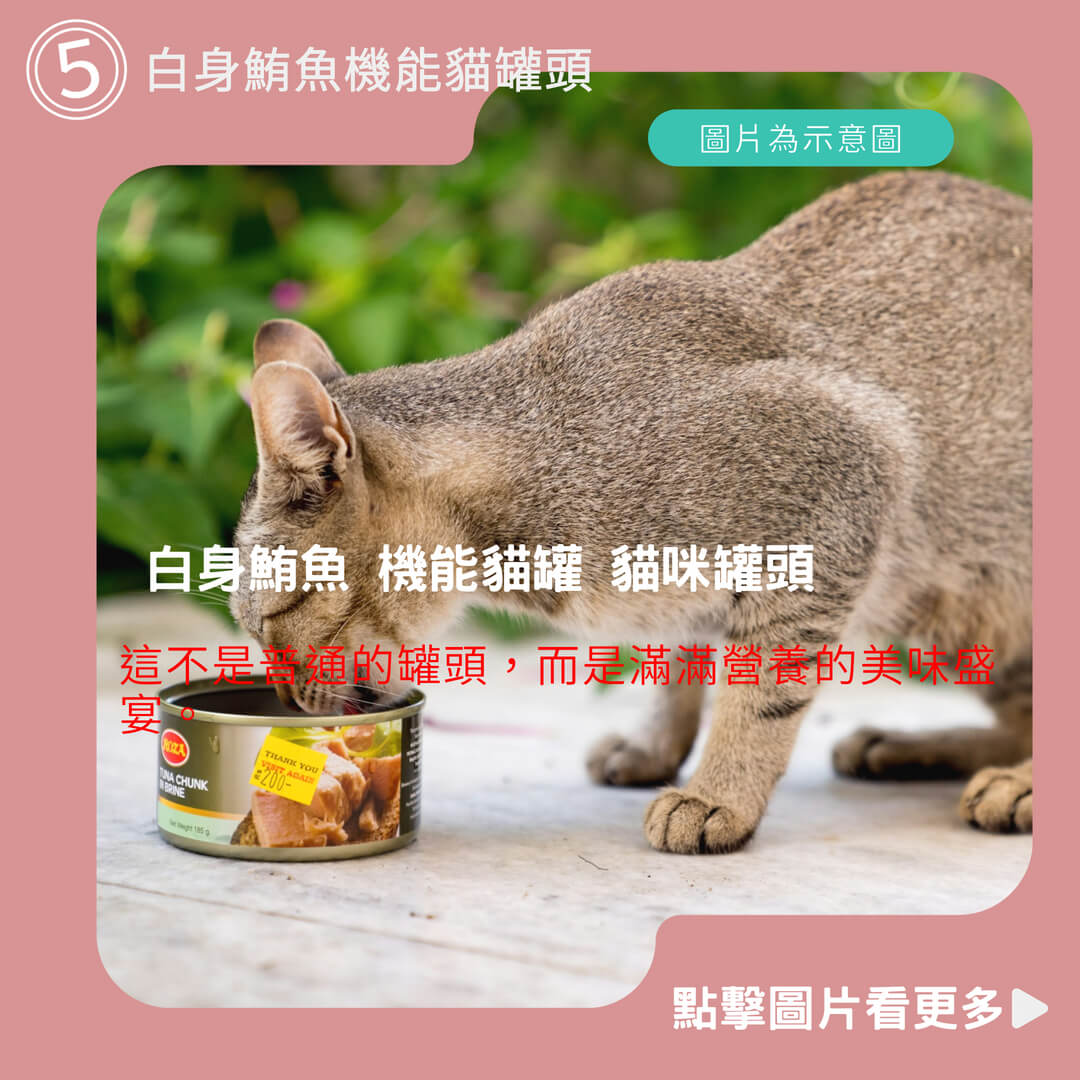 【小搗蛋鬼の王國】MY CAT 我的貓85g/170g 聖萊西 惜時SEEDS 白身鮪魚 機能貓罐 貓副食罐