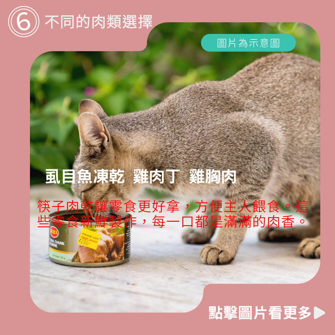 《愛貓聯盟》翻肚肚凍乾 寵物凍乾 雞肉凍乾 雞肉鬆 鮪魚凍乾 寵物肉乾 筷子肉乾 虱目魚凍乾 雞肉丁