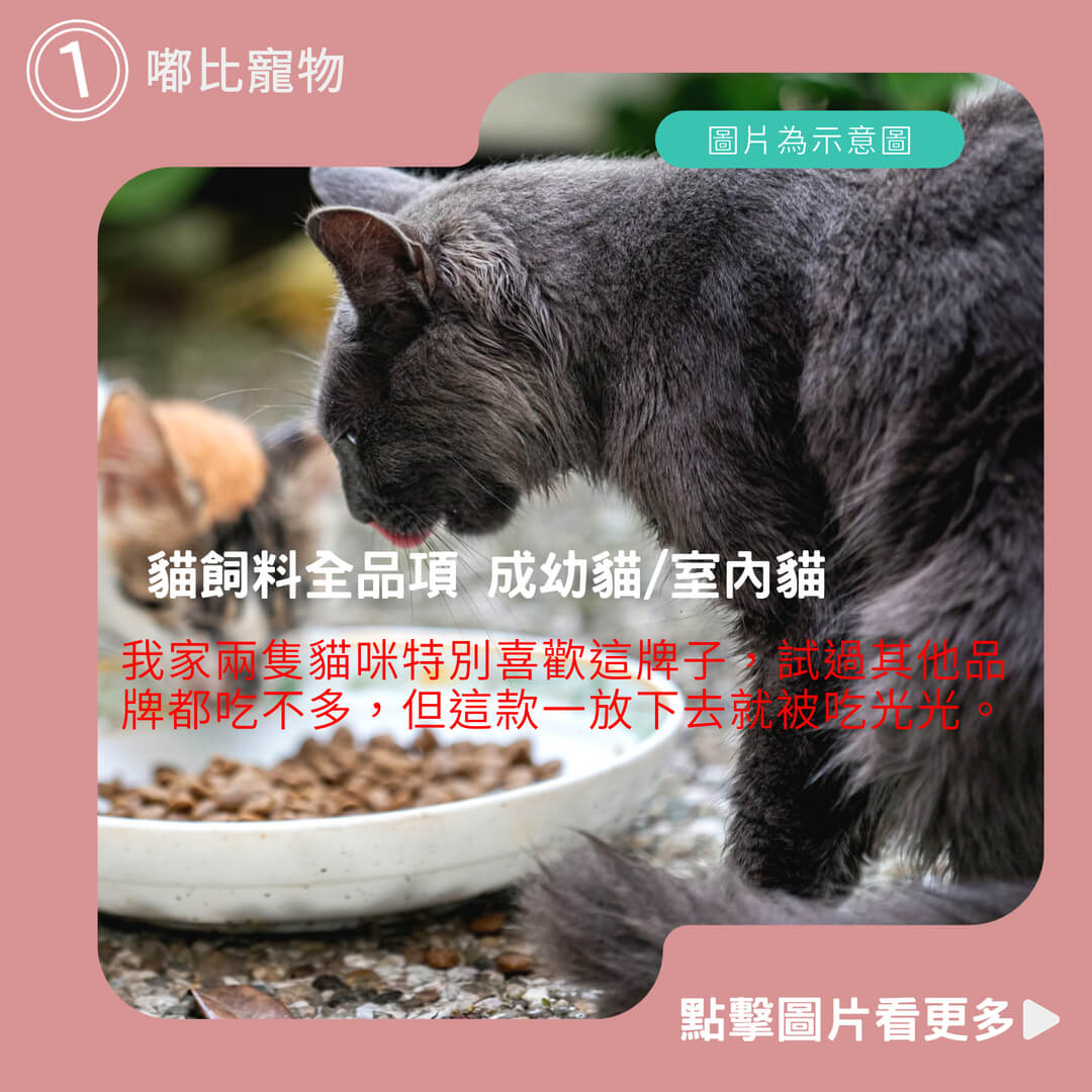 貓飼料推薦 嘟比寵物 優格 貓飼料全品項 成幼貓/室內貓/高齡貓/無穀5種魚/無穀鮭魚/幼貓/成貓/老貓/全齡貓
