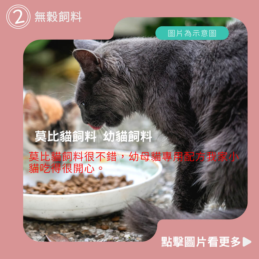 奴才進貢吧 莫比貓飼料 幼貓飼料 挑嘴貓飼料 無穀飼料