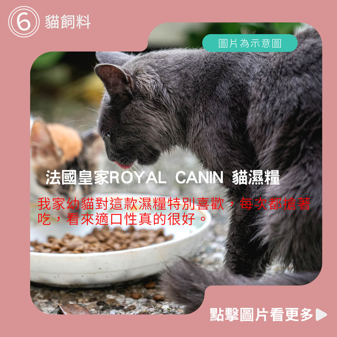 嘟比寵物 法國皇家ROYAL CANIN 貓濕糧 貓飼料 皇家/成貓/幼貓/離乳貓/母貓