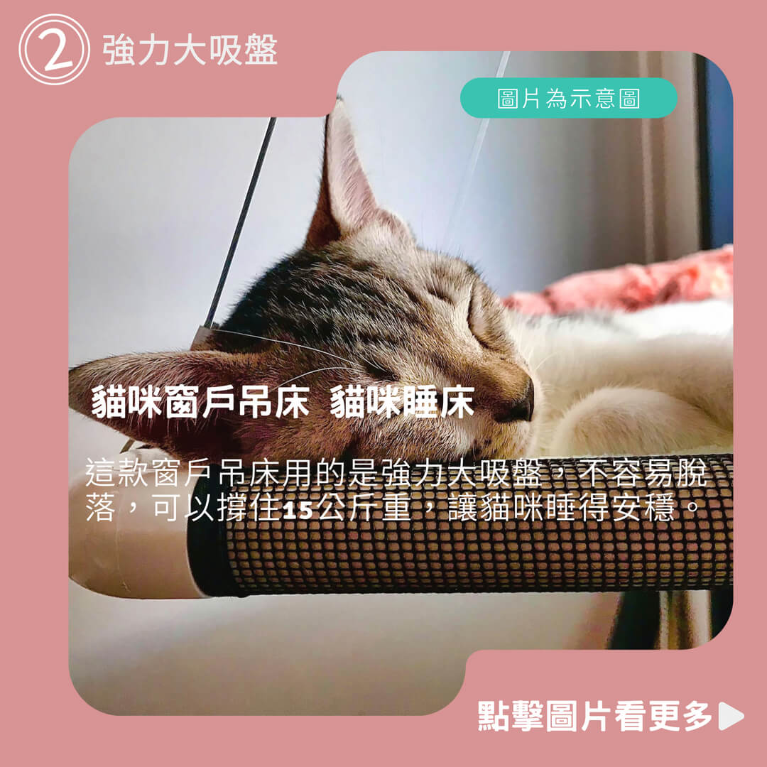 貓吊床推薦 貓咪窗戶吊床 貓咪睡床 貓咪吸盤吊床