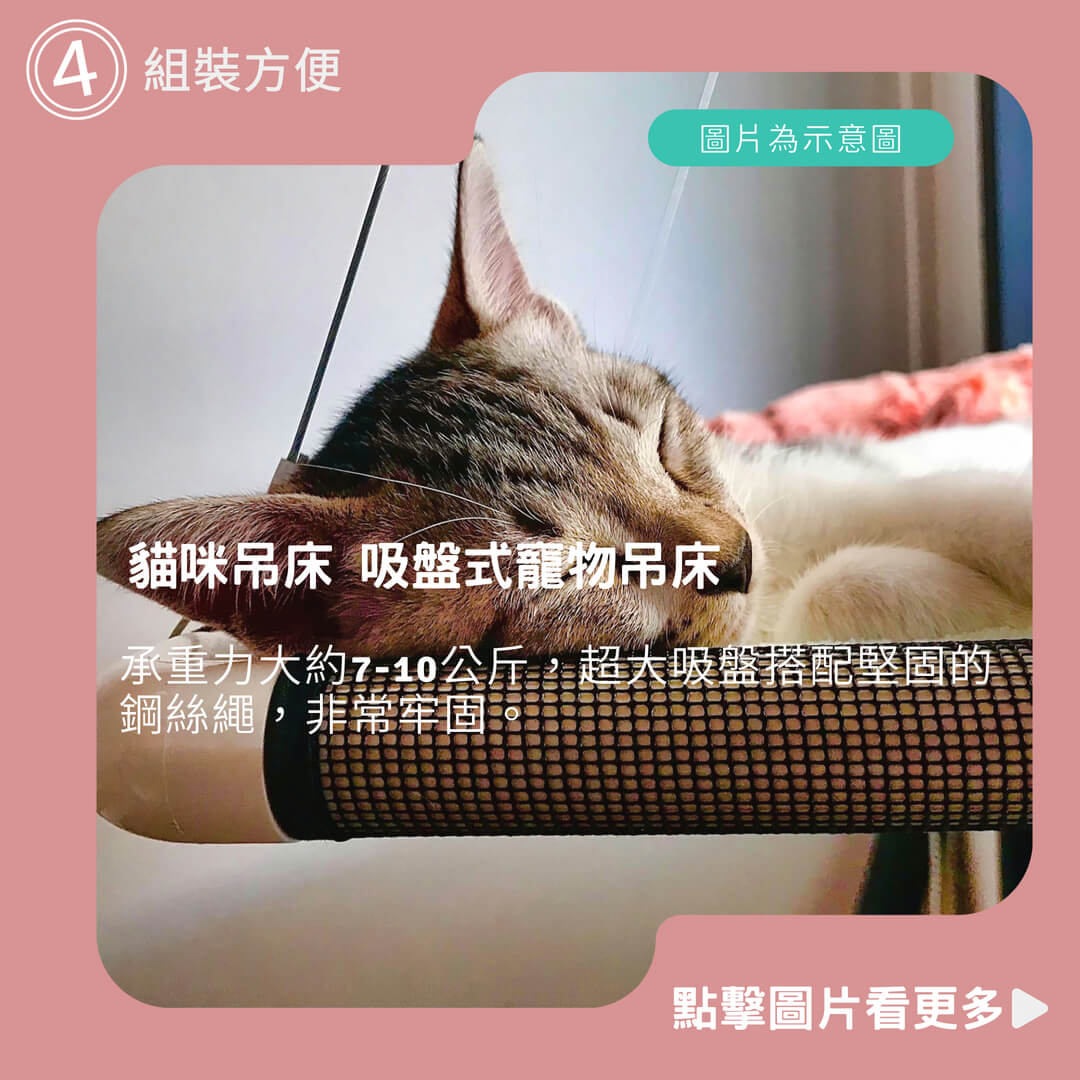 吸盤式寵物吊床 窗邊吊床 超牢固貓吊床