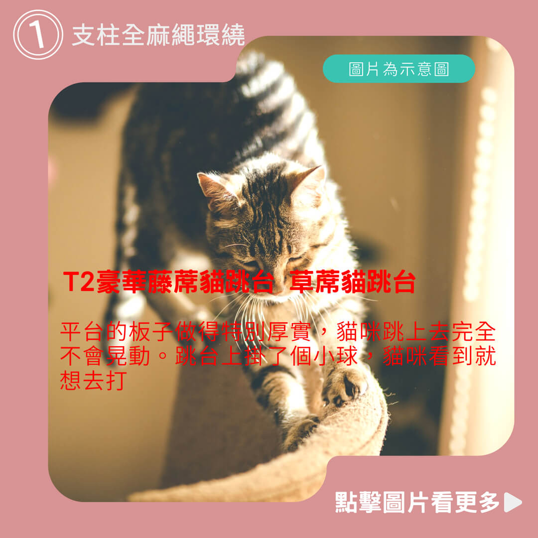 貓跳台推薦【小狐狸寵物】T2豪華藤蓆貓跳台 貓玩具 粗麻繩柱 板材加厚 寵物用品 貓爬架