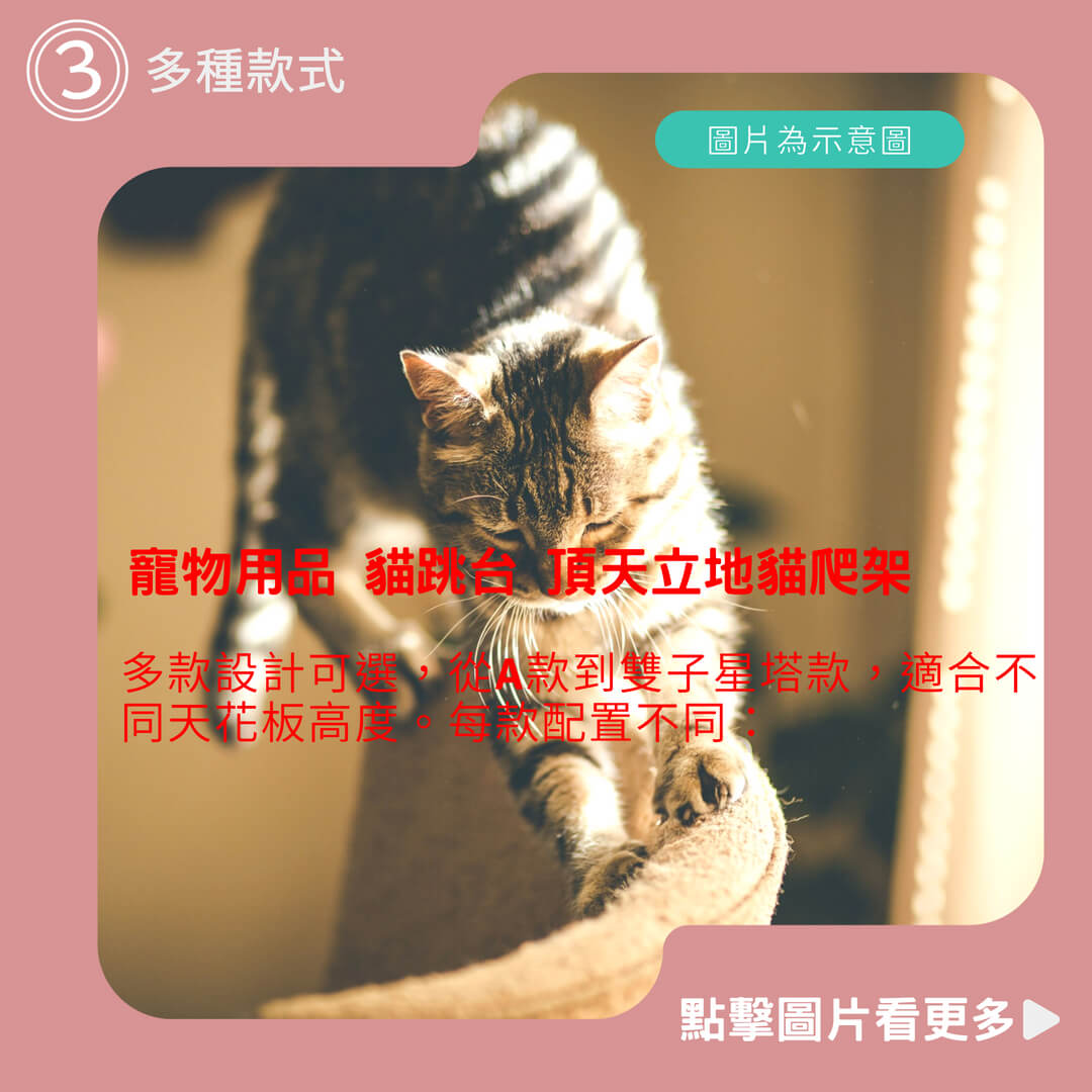 【工廠直銷】寵物用品 貓跳台 頂天立地貓爬架 劍麻柱 貓抓柱 免打孔貓爬架【毛皇上】