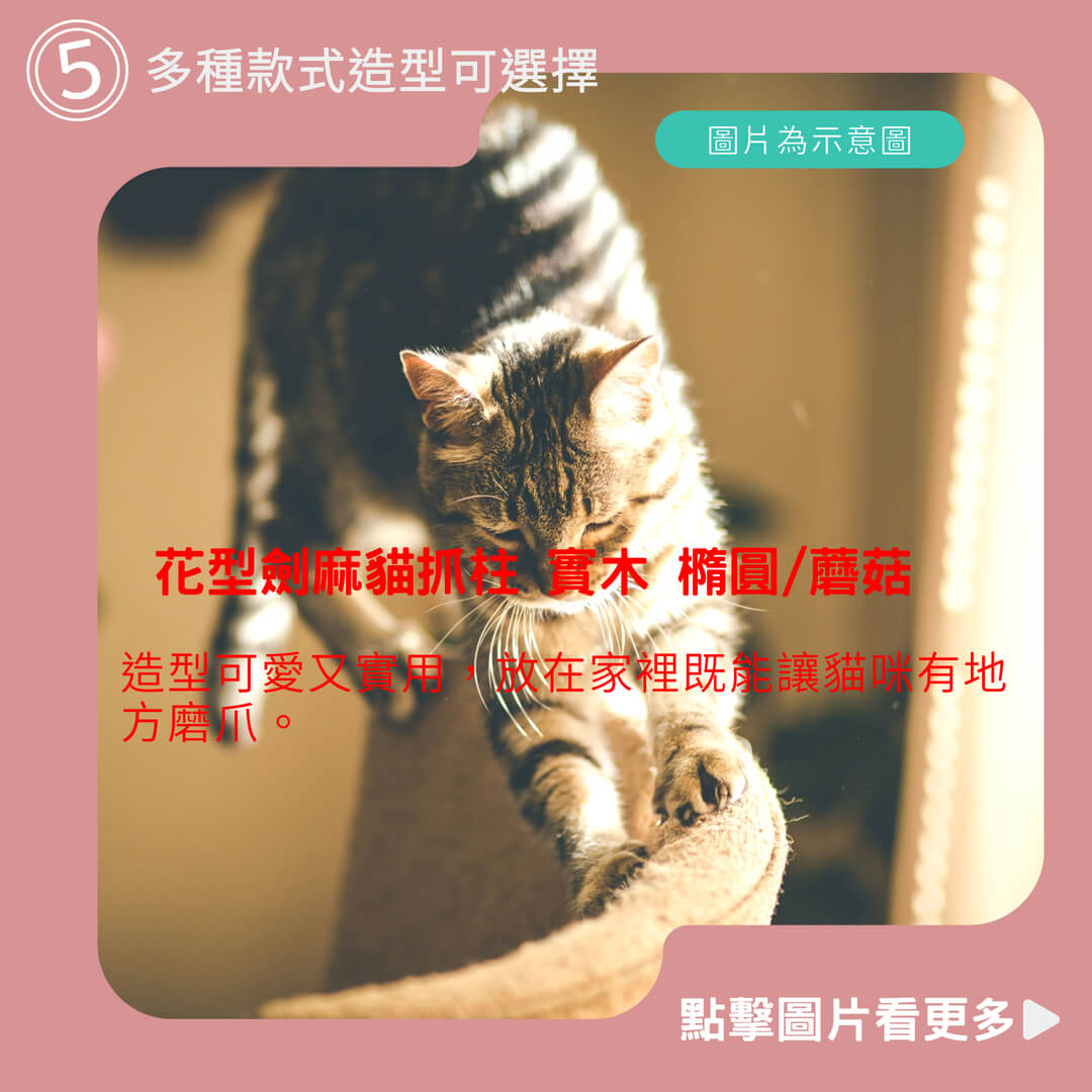 寵物玩具 花型劍麻貓抓柱 實木 橢圓/蘑菇 吉象貓抓球 劍麻繩 逗貓玩具 貓咪玩具