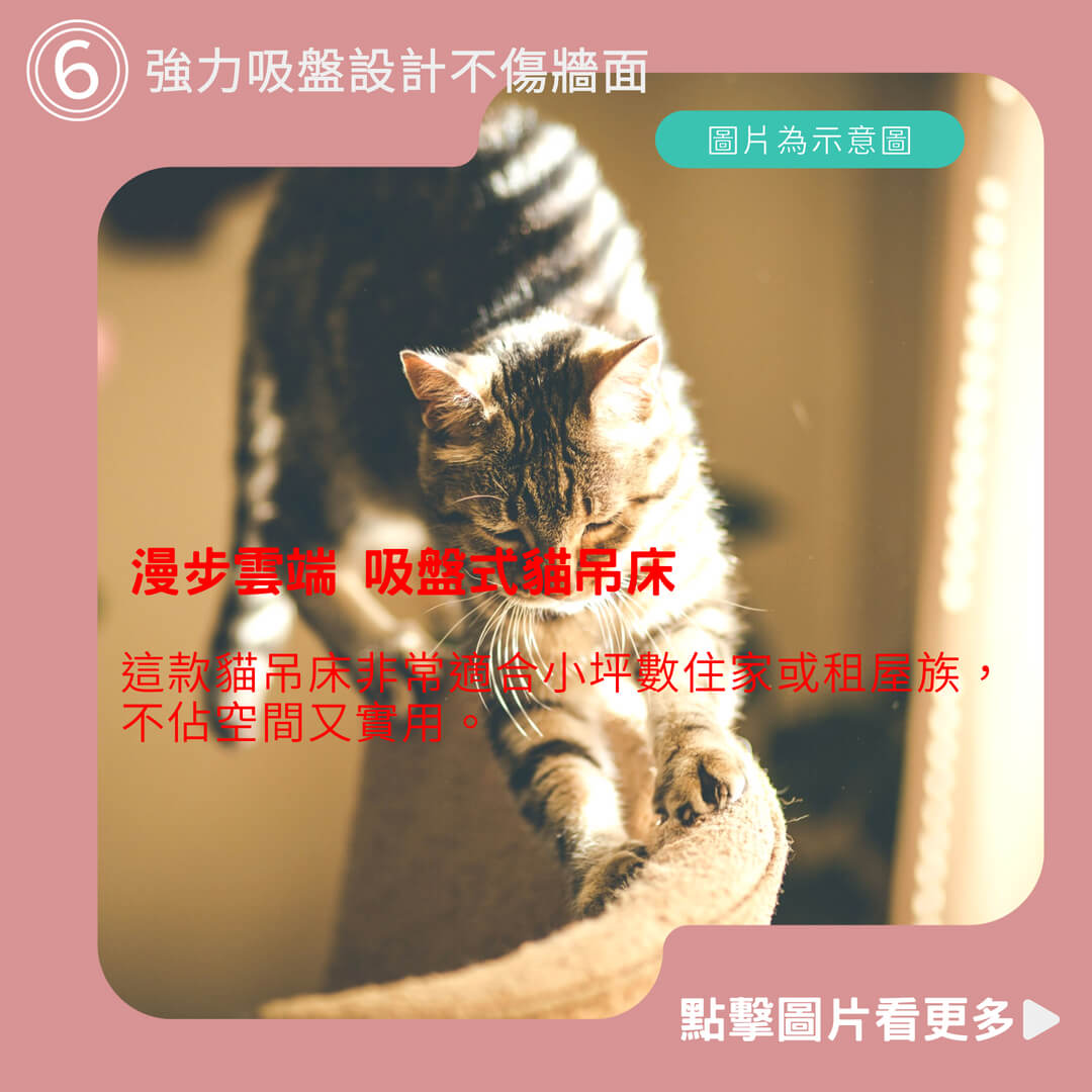 【怪獸部落LitoMon】漫步雲端 吸盤式貓吊床 (三款) 耐重20kg