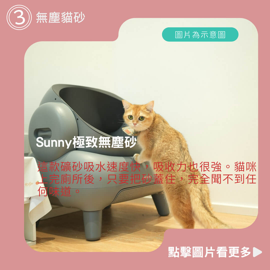 Sunny極致無塵砂 礦砂 無塵貓砂