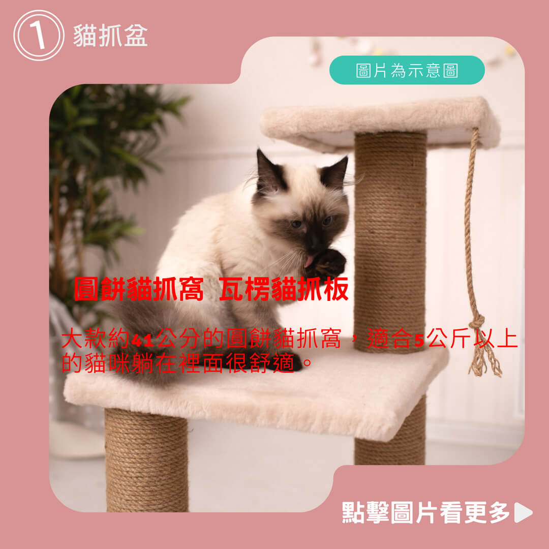 貓抓板推薦【寵星球】圓餅貓抓窩 瓦楞貓抓板 貓抓盆