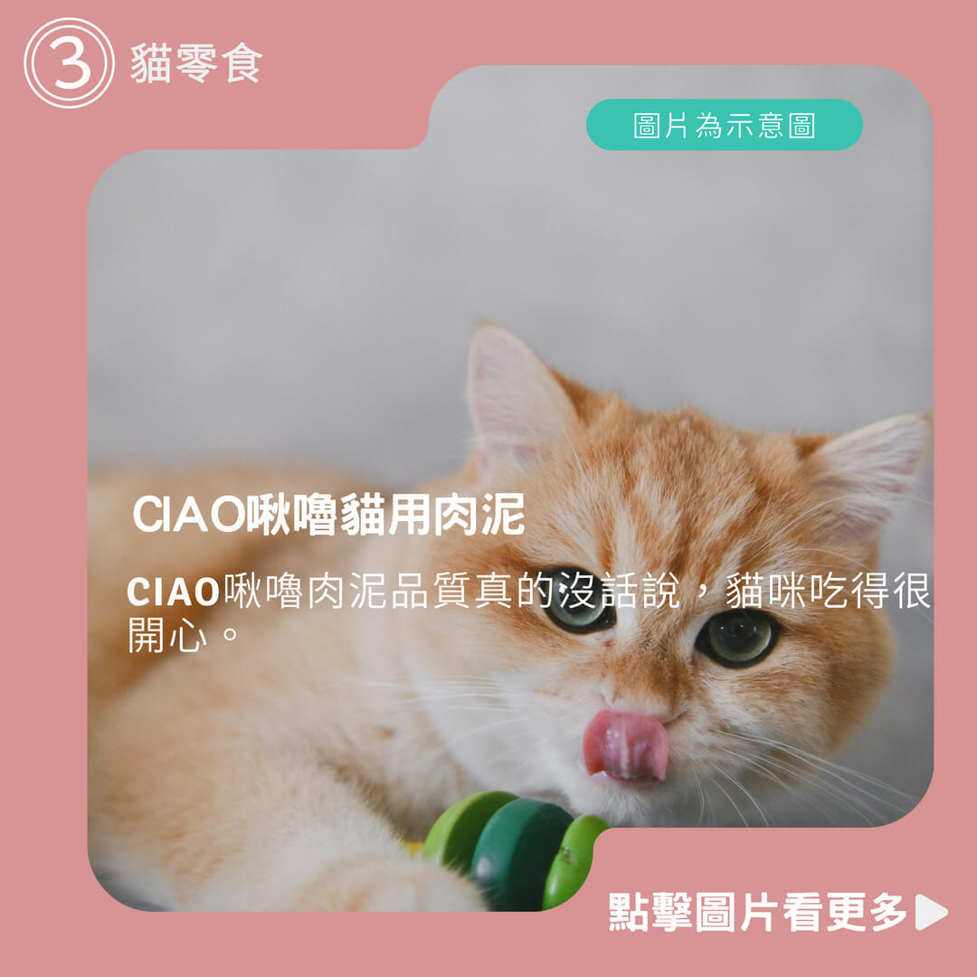 【小搗蛋鬼の王國】CIAO啾嚕貓用肉泥 貓咪肉泥 貓零食 燒肉泥