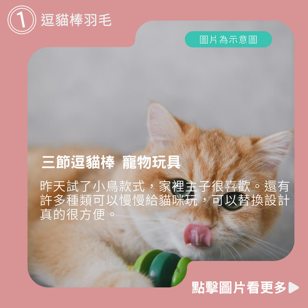 貓玩具推薦【喵喵旺旺】三節逗貓棒 寵物玩具 逗貓棒替換頭 伸縮逗貓棒 逗貓棒羽毛