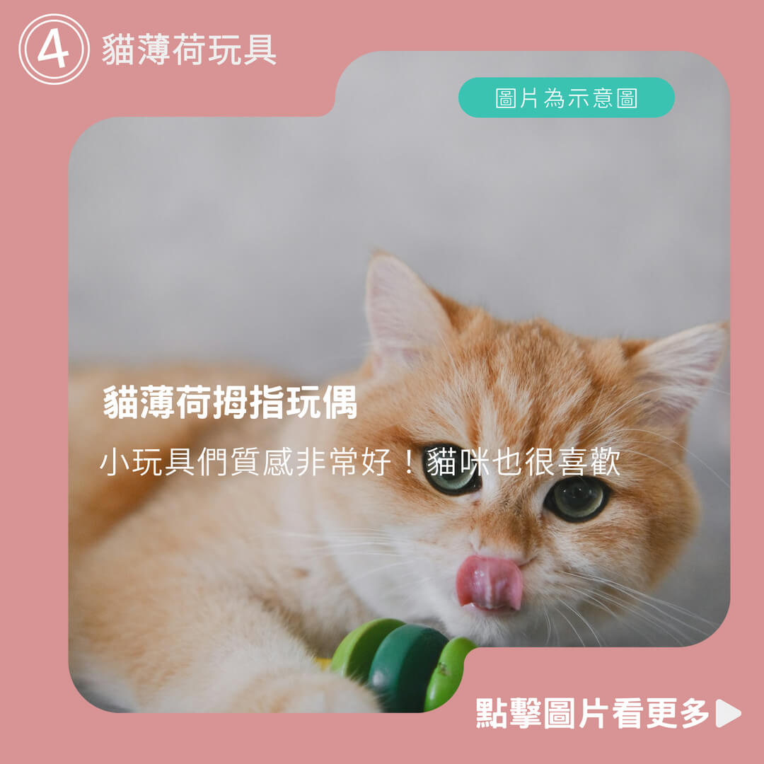多款貓薄荷抱枕 貓薄荷拇指玩偶 貓薄荷玩具 貓咪玩具 逗貓玩具