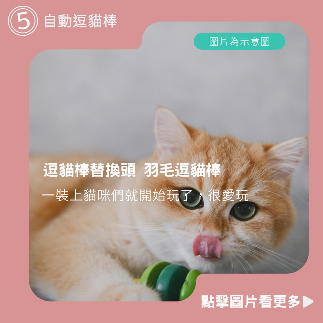 吸盤逗貓棒 自動逗貓棒 逗貓棒替換頭 羽毛逗貓棒 鋼絲逗貓棒 逗貓神器 福媽寵物