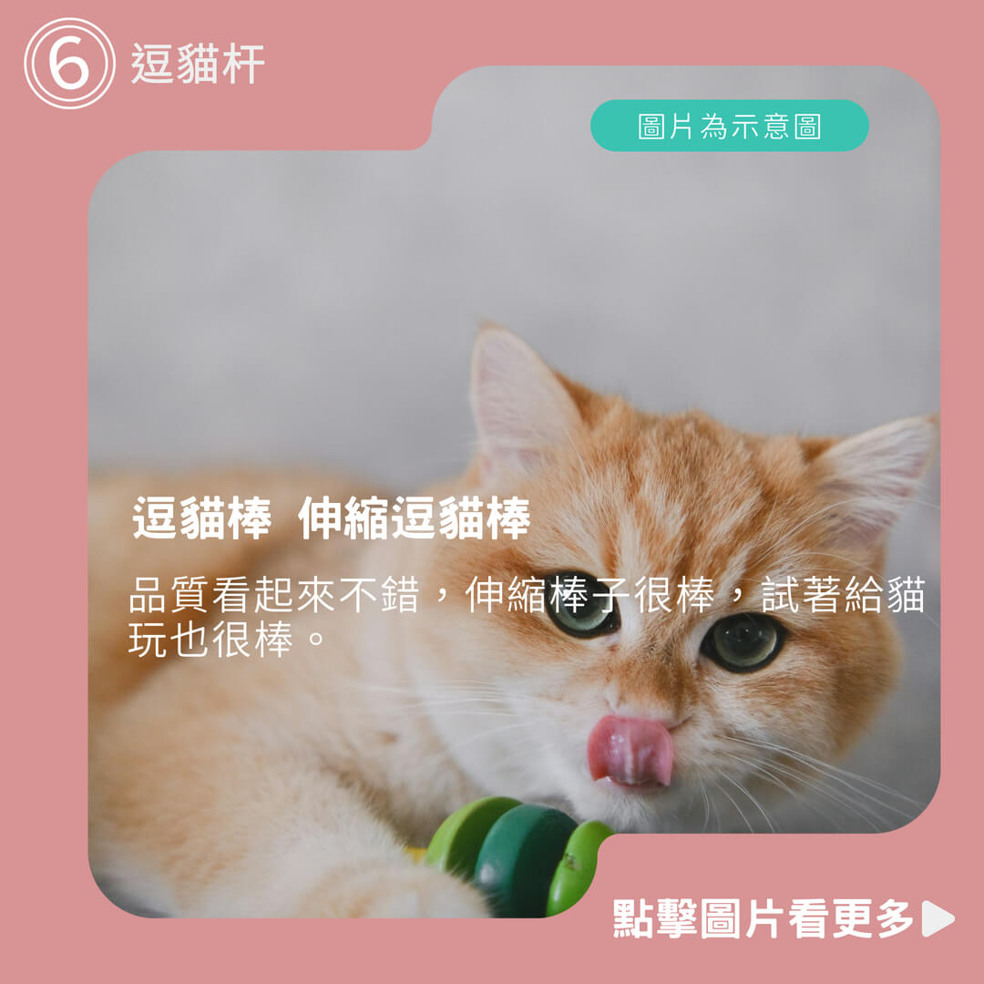 逗貓棒 伸縮逗貓棒 逗貓杆 魚竿逗貓棒 三節伸縮逗貓棒