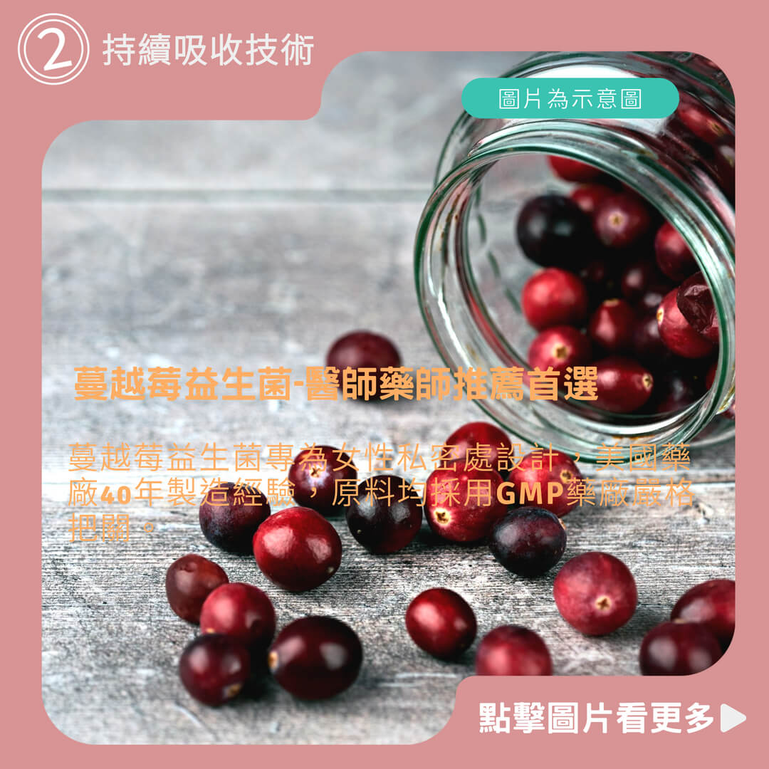 蔓越莓益生菌-醫師藥師推薦首選 蔓越莓 前花青素 私密處保養-孕婦