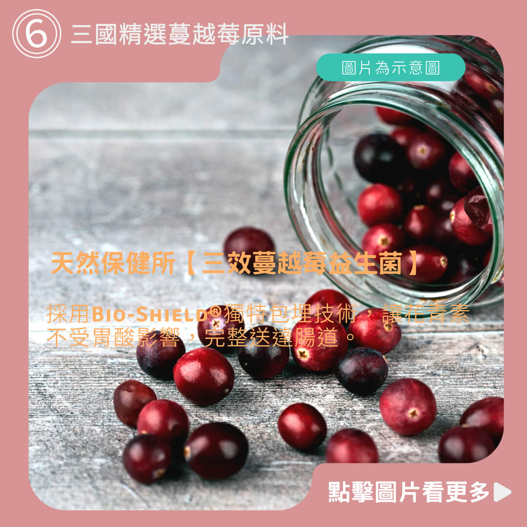 天然保健所【三效蔓越莓益生菌】 蔓越莓膠囊 益生菌 鼠尾草 兒茶素  私密益生菌