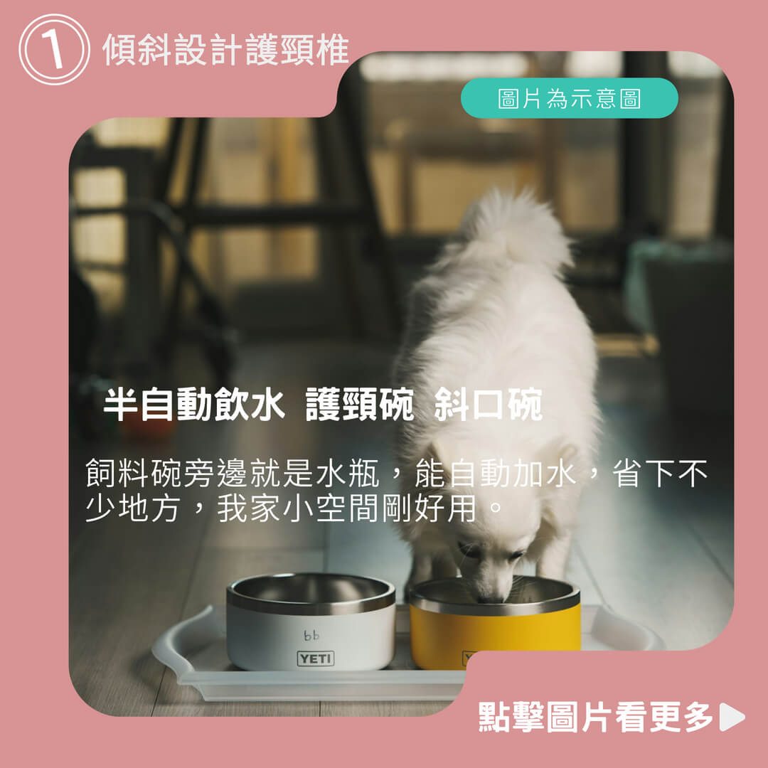 狗碗推薦 喝水兩用雙貓碗 貓耳雙碗 半自動飲水 護頸碗 斜口碗
