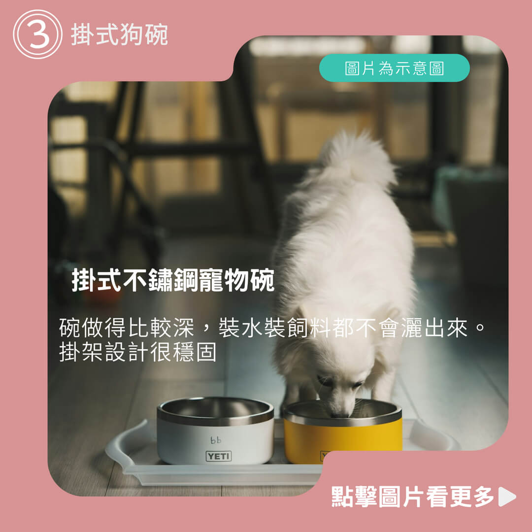 必買 懸掛式不鏽鋼寵物碗 掛式狗碗 懸掛寵物碗 不鏽鋼碗